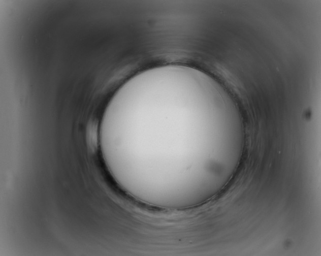 X0000102220028200807250756