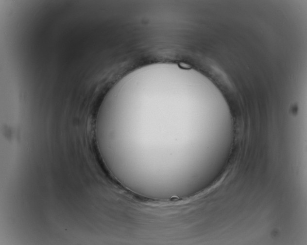X0000102220029200807250756