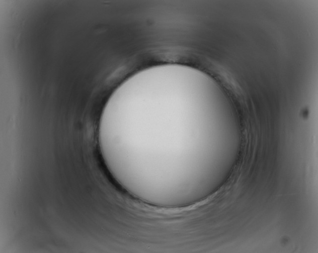 X0000102220031200807250756
