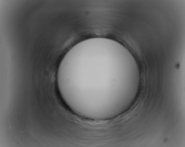X0000102220032200807250756