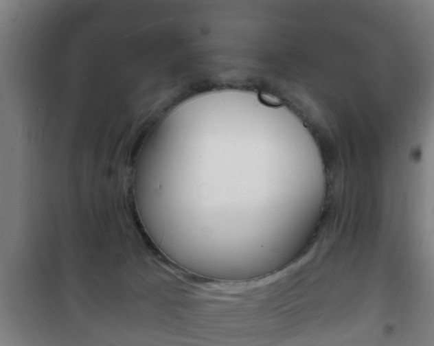 X0000102220033200807250756
