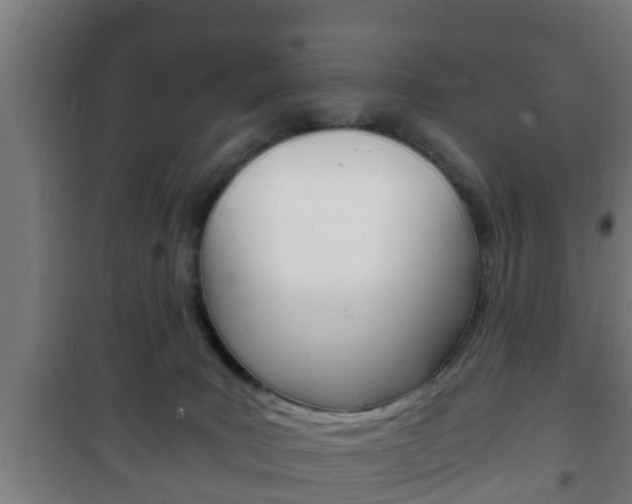X0000102220035200807250756