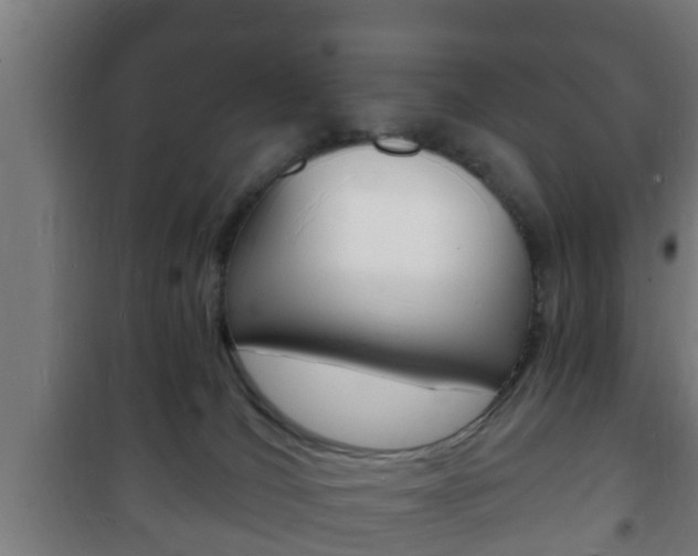 X0000102220036200807250756