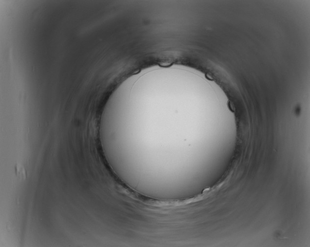 X0000102220037200807250756