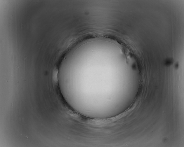 X0000102220041200807250756