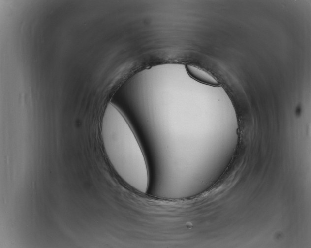 X0000102220044200807250756