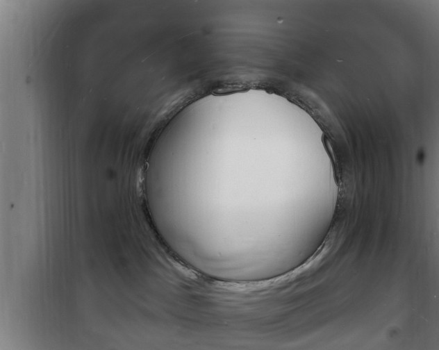 X0000102220045200807250756