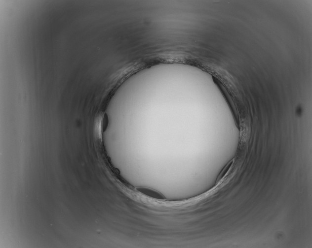 X0000102220047200807250756