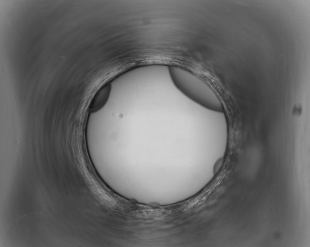 X0000102220049200807250755