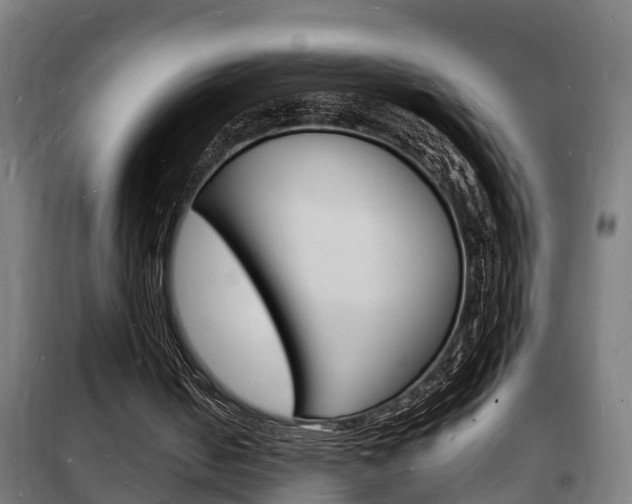 X0000102220050200807250755