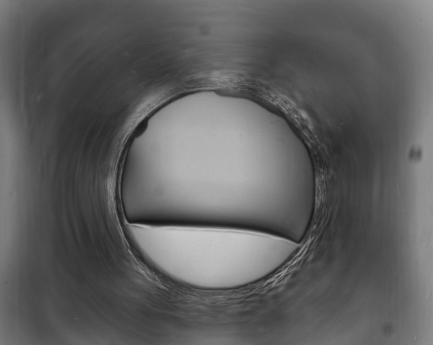 X0000102220051200807250755