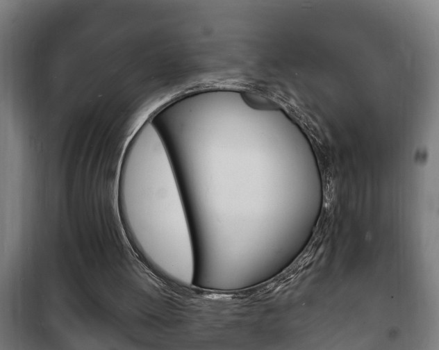 X0000102220052200807250755