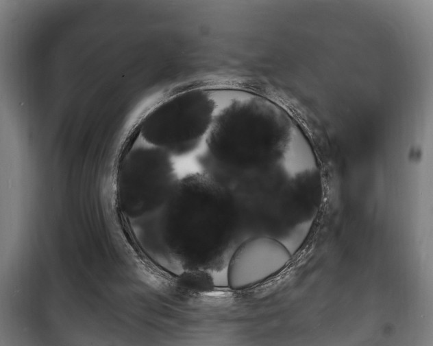 X0000102220053200807250755