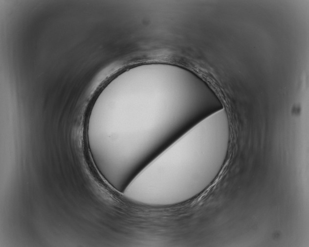 X0000102220054200807250755