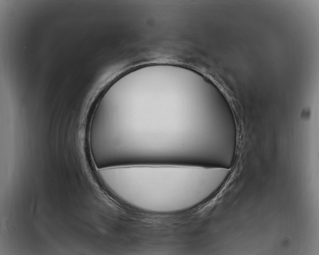 X0000102220055200807250755