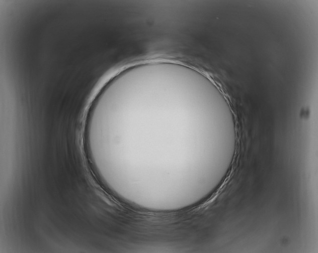 X0000102220056200807250755
