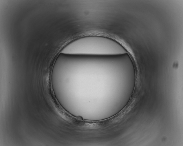X0000102220057200807250755