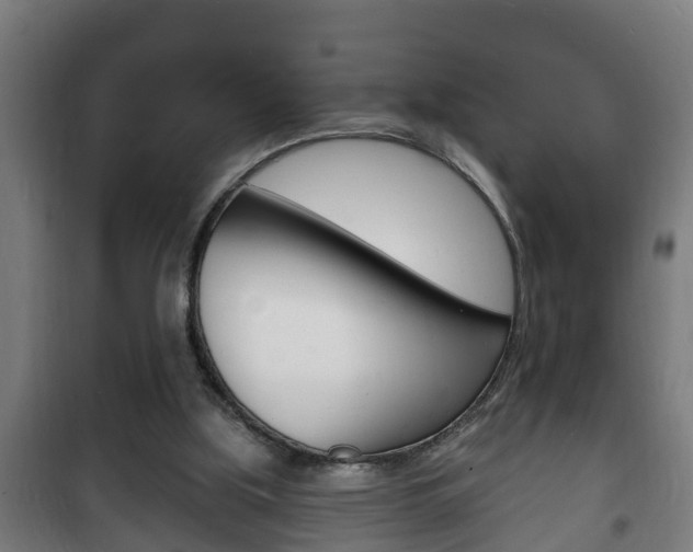 X0000102220059200807250755