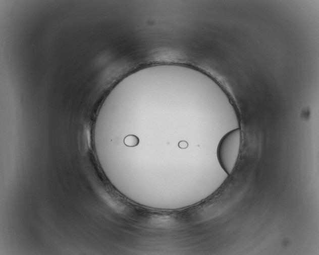 X0000102220061200807250755