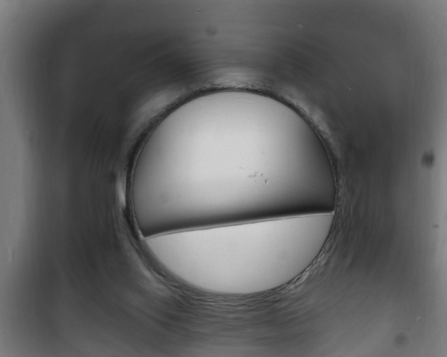 X0000102220062200807250755