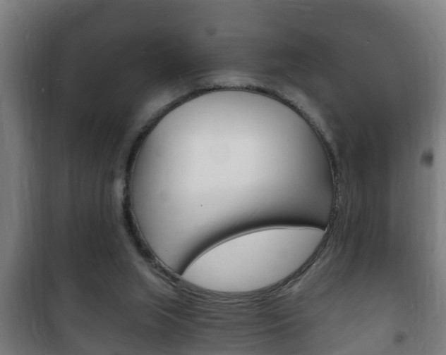 X0000102220063200807250755