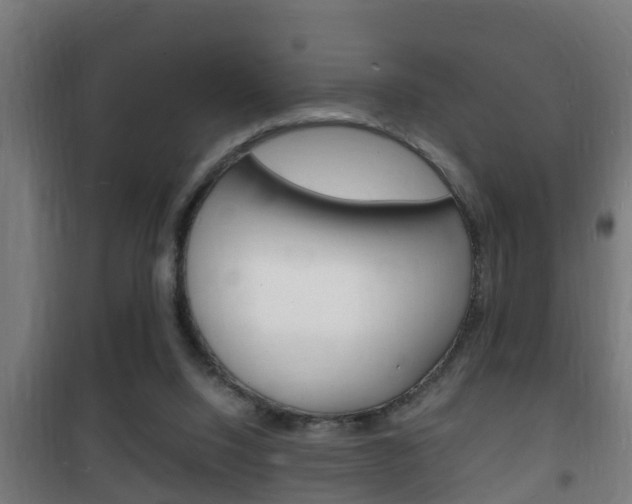 X0000102220064200807250755