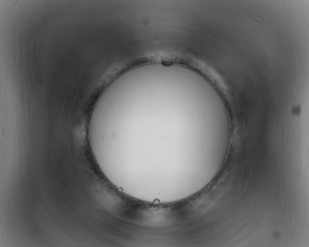 X0000102220065200807250755