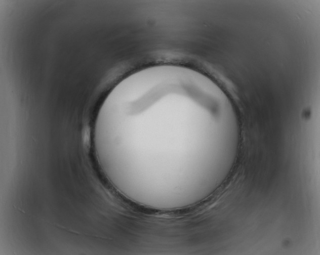 X0000102220067200807250755