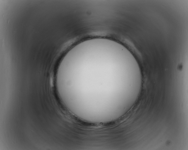 X0000102220068200807250755