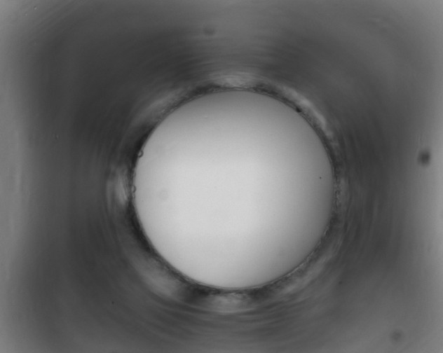 X0000102220069200807250755