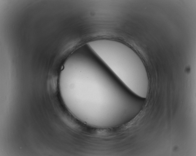 X0000102220070200807250755