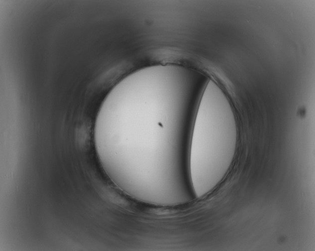 X0000102220073200807250755