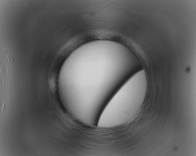 X0000102220074200807250755
