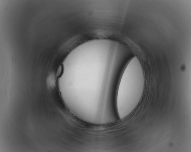 X0000102220075200807250755