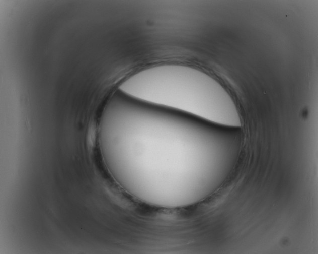 X0000102220076200807250755