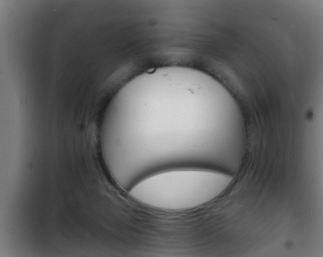 X0000102220077200807250755