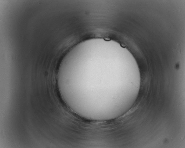 X0000102220078200807250755