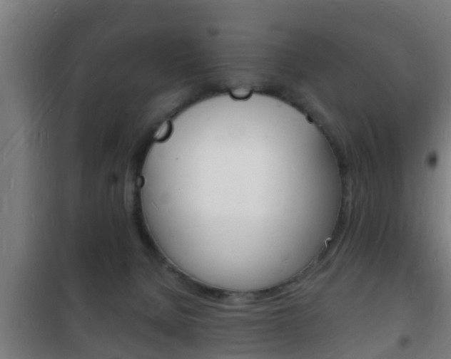 X0000102220080200807250755