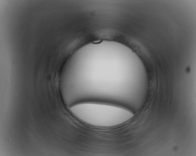 X0000102220081200807250755