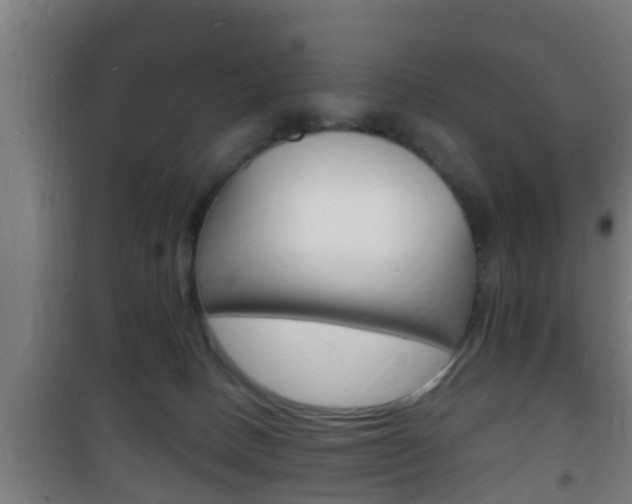 X0000102220082200807250755