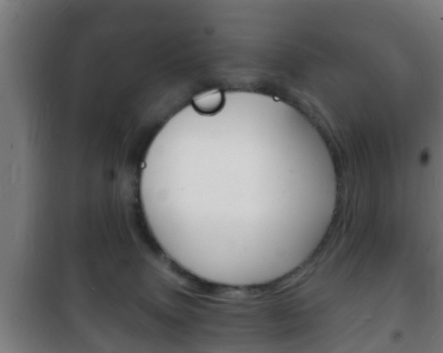 X0000102220083200807250755