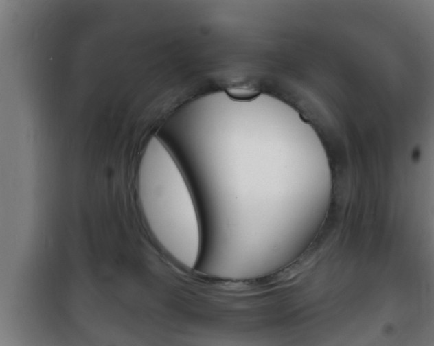 X0000102220085200807250755