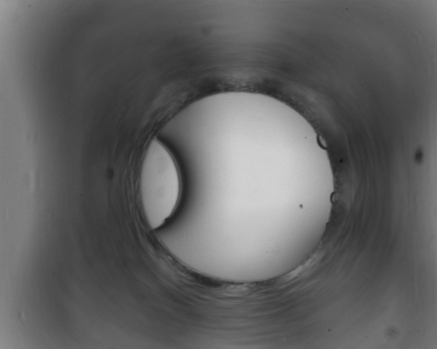 X0000102220086200807250755