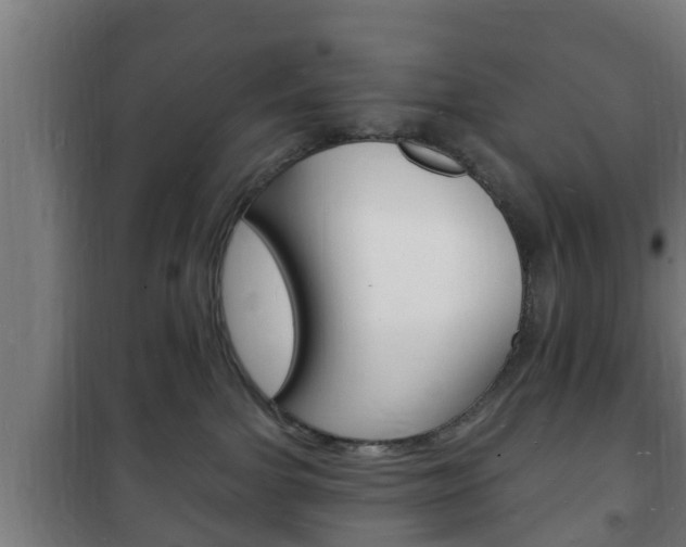 X0000102220091200807250755
