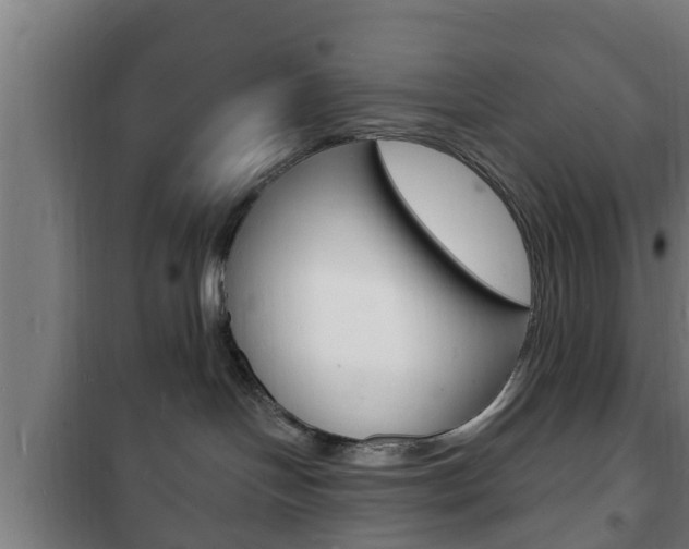 X0000102220094200807250756