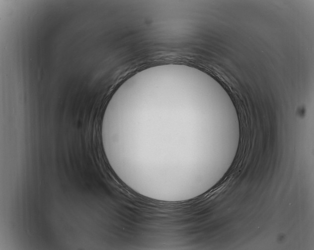 X0000102220096200807250756