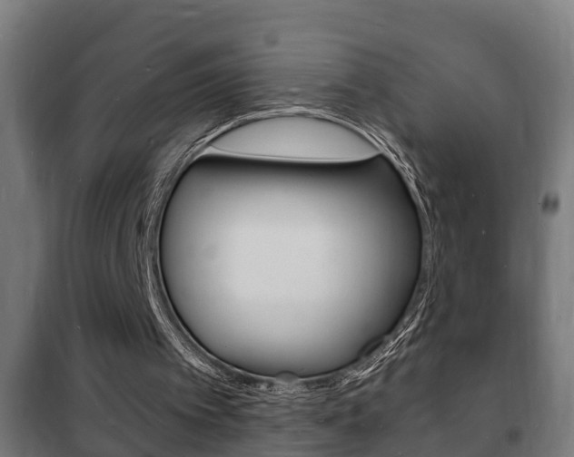 X0000102220097200807250755