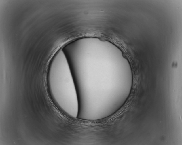 X0000102220098200807250755