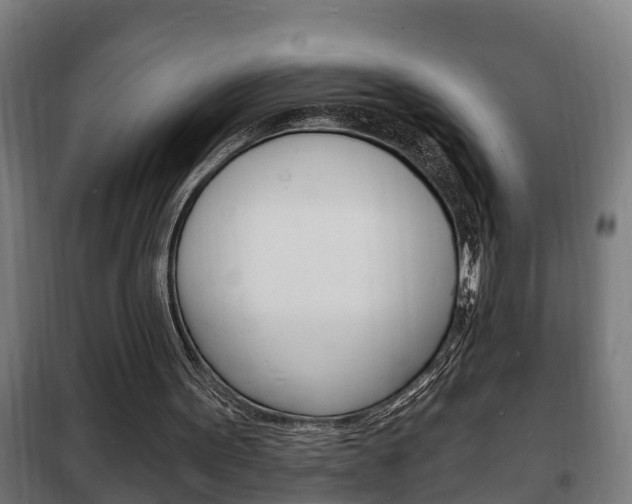 X0000102220099200807250755