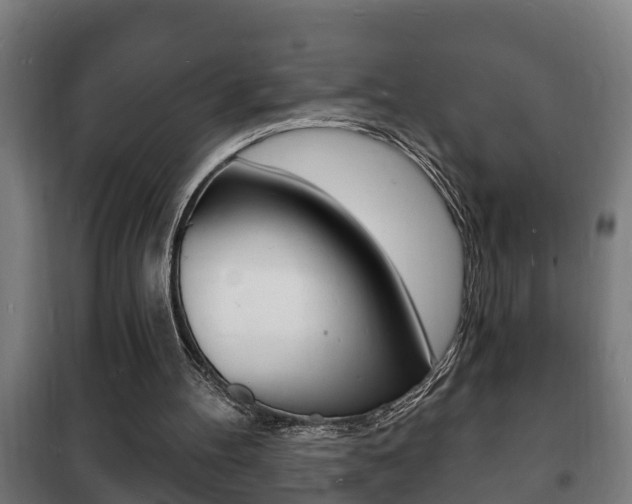 X0000102220100200807250755